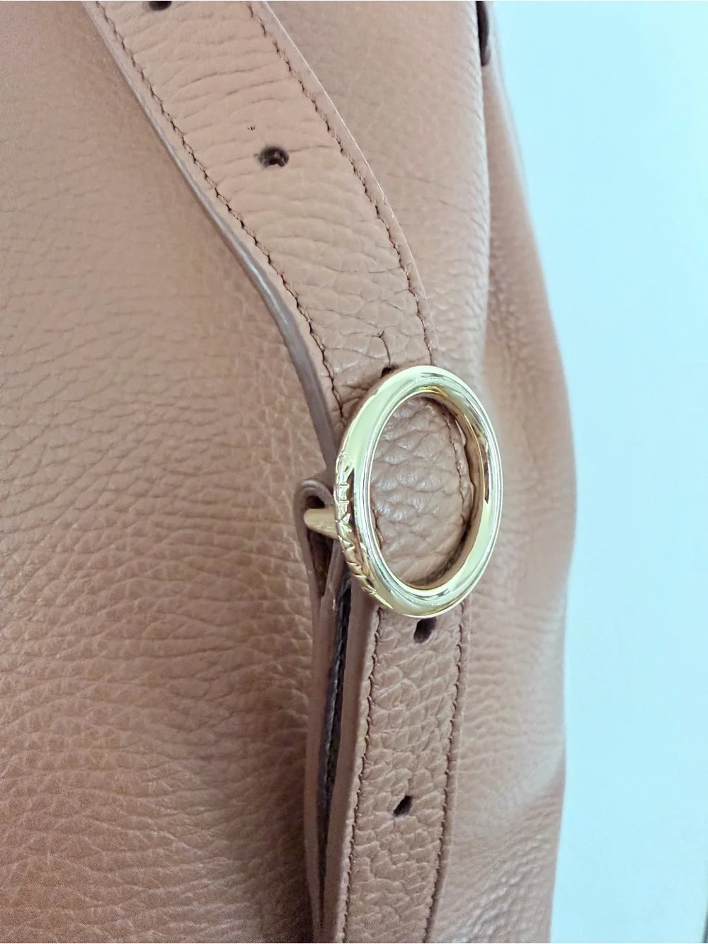 Cuyana Chestnut Pebbled Leather Original Design Backpack